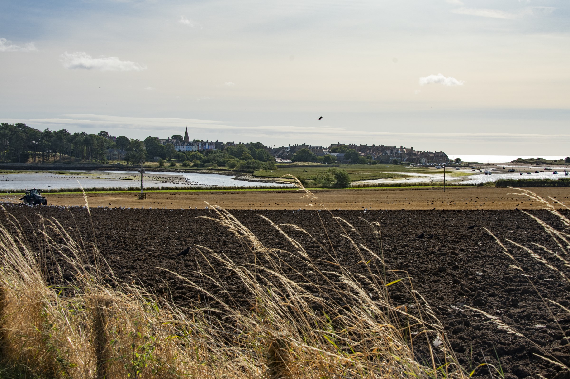 Alnmouth