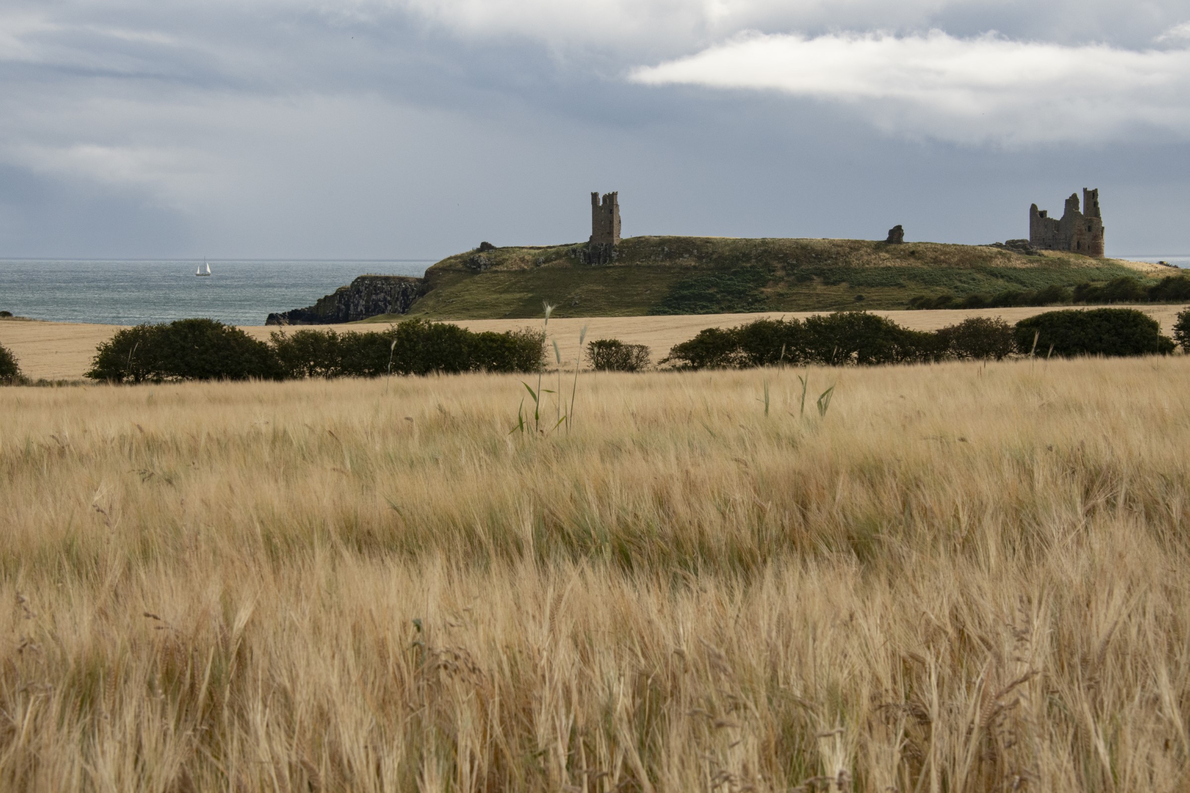 Dunstanburgh castle