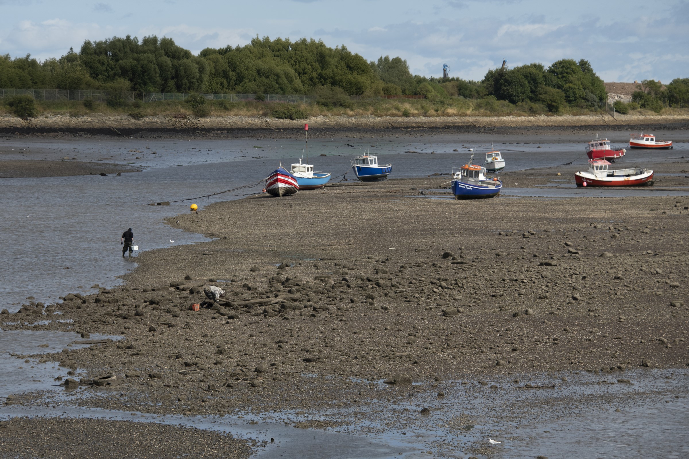 wormenzoekers en bootjes op het droge 