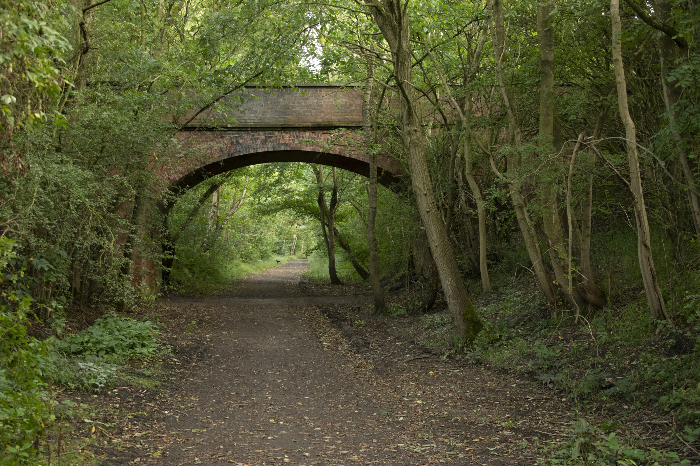 viaduct Cinterpath