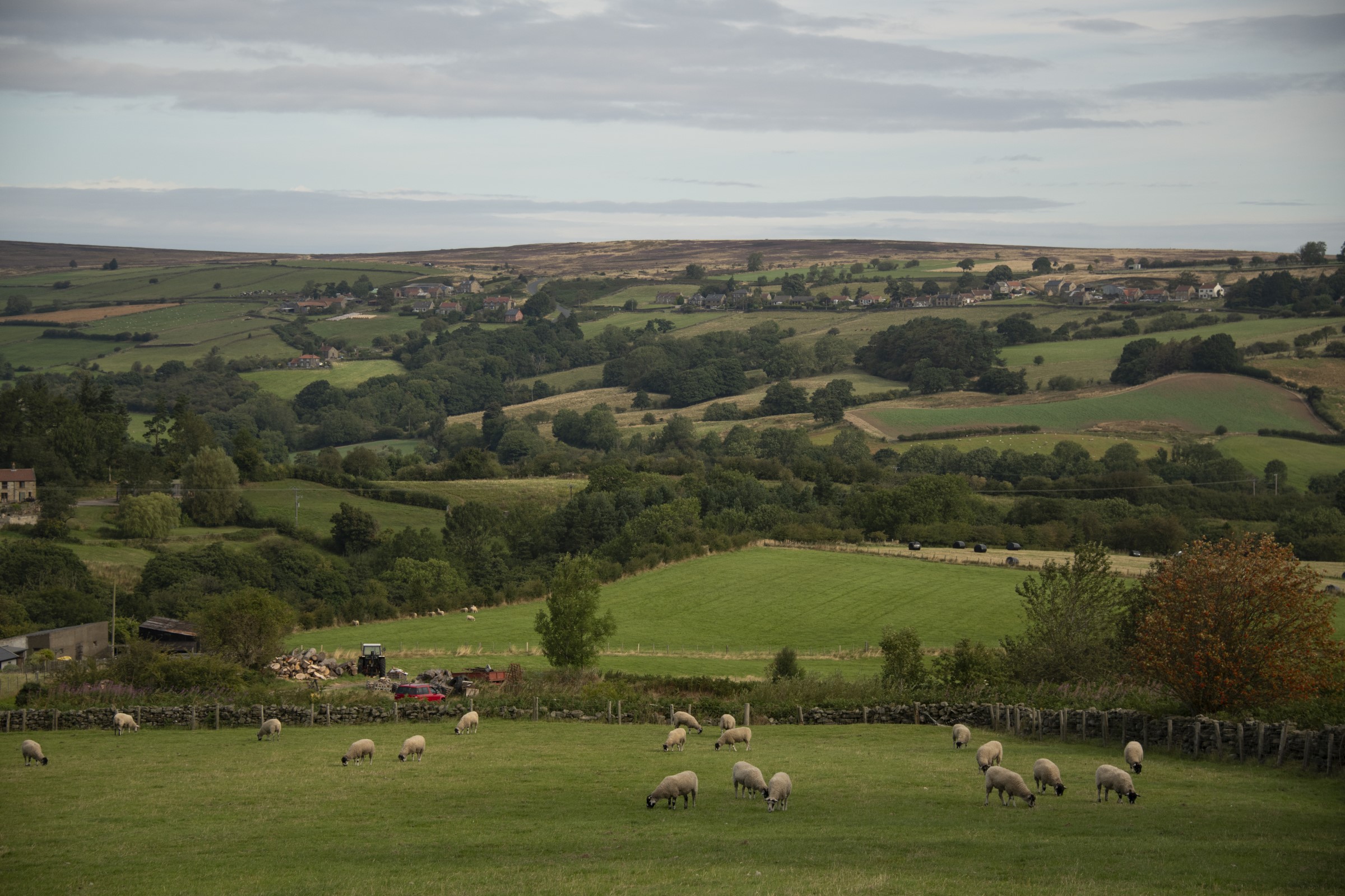 north Yorkshire moors