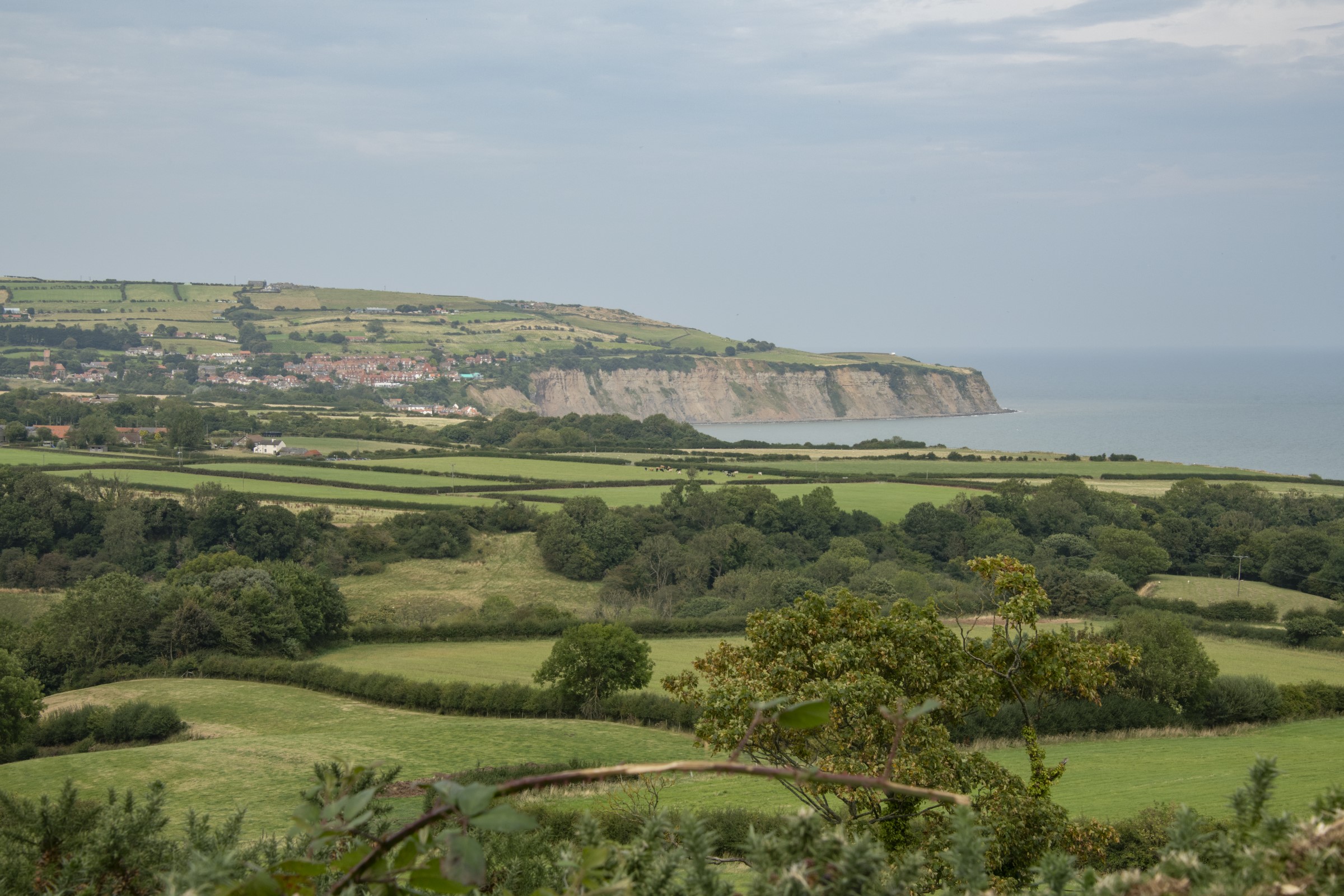  robin hoods bay